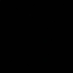 Meet your Posher, Noel